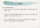 녹지시설물의 유지관리 시비병해충관수 4페이지