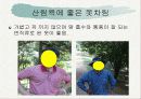 숲의혜택[음(陰)이온 (negative ions) 산림욕] 11페이지