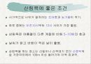 숲의혜택[음(陰)이온 (negative ions) 산림욕] 13페이지