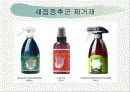 숲의혜택[음(陰)이온 (negative ions) 산림욕] 15페이지