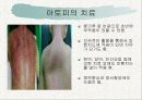 숲의혜택[음(陰)이온 (negative ions) 산림욕] 17페이지