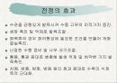 녹지시설물의 유지관리_전정과가지치기 6페이지