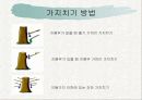 녹지시설물의 유지관리_전정과가지치기 14페이지