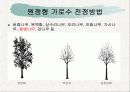 녹지시설물의 유지관리_전정과가지치기 16페이지