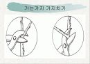 녹지시설물의 유지관리_전정과가지치기 19페이지