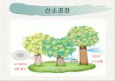 숲이야기_공익적기능 18페이지