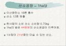숲이야기_공익적기능 19페이지