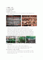 이마트(E-MART)의 식품유통(SWOT&STP&4P&성공요인) 10페이지