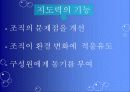 리더십(스포츠) 5페이지