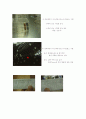 미생물 실험 13페이지