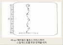 스포츠 종목별 기능검사. 55페이지
