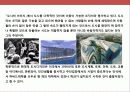 도시디지인 마케팅 전략 및 사례별 도시 분석 4페이지