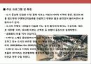 도시디지인 마케팅 전략 및 사례별 도시 분석 23페이지