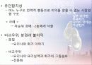 시장의 진실(선진국과 후진국의 빈부격차, 불공평한 시장 경제의 근거) 12페이지