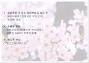 일본의 재구성 문화 및 역사 경제적 발전 토대 서적 조사 발표 자료 16페이지