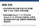 라면 브랜드 브랜드 리포지셔닝 전략 37페이지