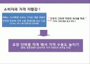 냉동 닭튀김 가공식품 브랜드 광고 전략 5페이지