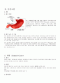 위암 case study 2페이지