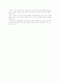 무분별한 도로 건설- 로드킬에 희생당하는 인간과 동물(생태 윤리) 5페이지