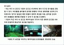 세계의 유명 해양 박물관의 이해 15페이지