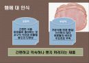 프리미엄 햄 신규 브랜드 런칭 커뮤니케이션전략 13페이지