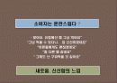 프리미엄 햄 신규 브랜드 런칭 커뮤니케이션전략 27페이지