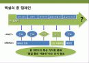 백설표 식용유 광고 전략 10페이지