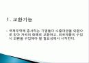 제3장   글로벌금융환경 12페이지