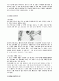 CF광고에대한나의생각 5페이지