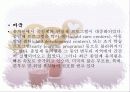 종일제 프로그램 5페이지
