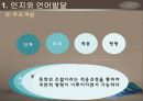 영유아의 발달과정(보육학개론) 11페이지