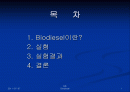바이오디젤 1페이지