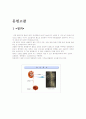 요로결석 케이스 스터디 2페이지