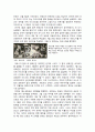 스페인의 정치제도 변천을 중심으로 한 스페인 내전의 배경과 영향 3페이지