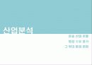 대한항공 재무분석및 투자제안서 파워포인트 3페이지