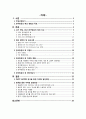 2010-2012 한국방문의 해의 마케팅 발전 방안 2페이지