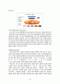 데이터 웨어 하우징, IMT-2000, 방화벽 4페이지