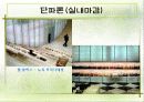 단파론과 건축(서울대 미술관) 16페이지