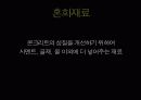 콘크리트의 재료 종류 특성 적용사례 7페이지