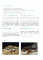 이우학교발표자료 5페이지