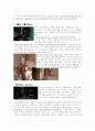 엑스페리먼트와 패치아담스 영화 속의 인간행동의 이해 4페이지