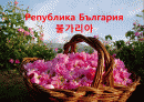 불가리아 PPT 불가리아, 불가리아역사, 불가리아소개, 불가리아자료, 동유럽, 불가리아언어, 불가리아종교, 불가리아인구  1페이지