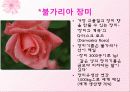 불가리아 PPT 불가리아, 불가리아역사, 불가리아소개, 불가리아자료, 동유럽, 불가리아언어, 불가리아종교, 불가리아인구  31페이지