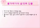 불가리아 PPT 불가리아, 불가리아역사, 불가리아소개, 불가리아자료, 동유럽, 불가리아언어, 불가리아종교, 불가리아인구  38페이지
