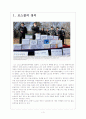 [로스쿨]로스쿨 제도의 문제점과 향후 전망 보고서 3페이지
