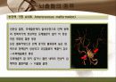 뇌졸중 간호와 재활 8페이지