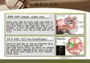뇌졸중 간호와 재활 20페이지