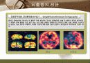 뇌졸중 간호와 재활 22페이지
