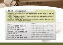 뇌졸중 간호와 재활 26페이지