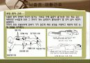 뇌졸중 간호와 재활 38페이지
